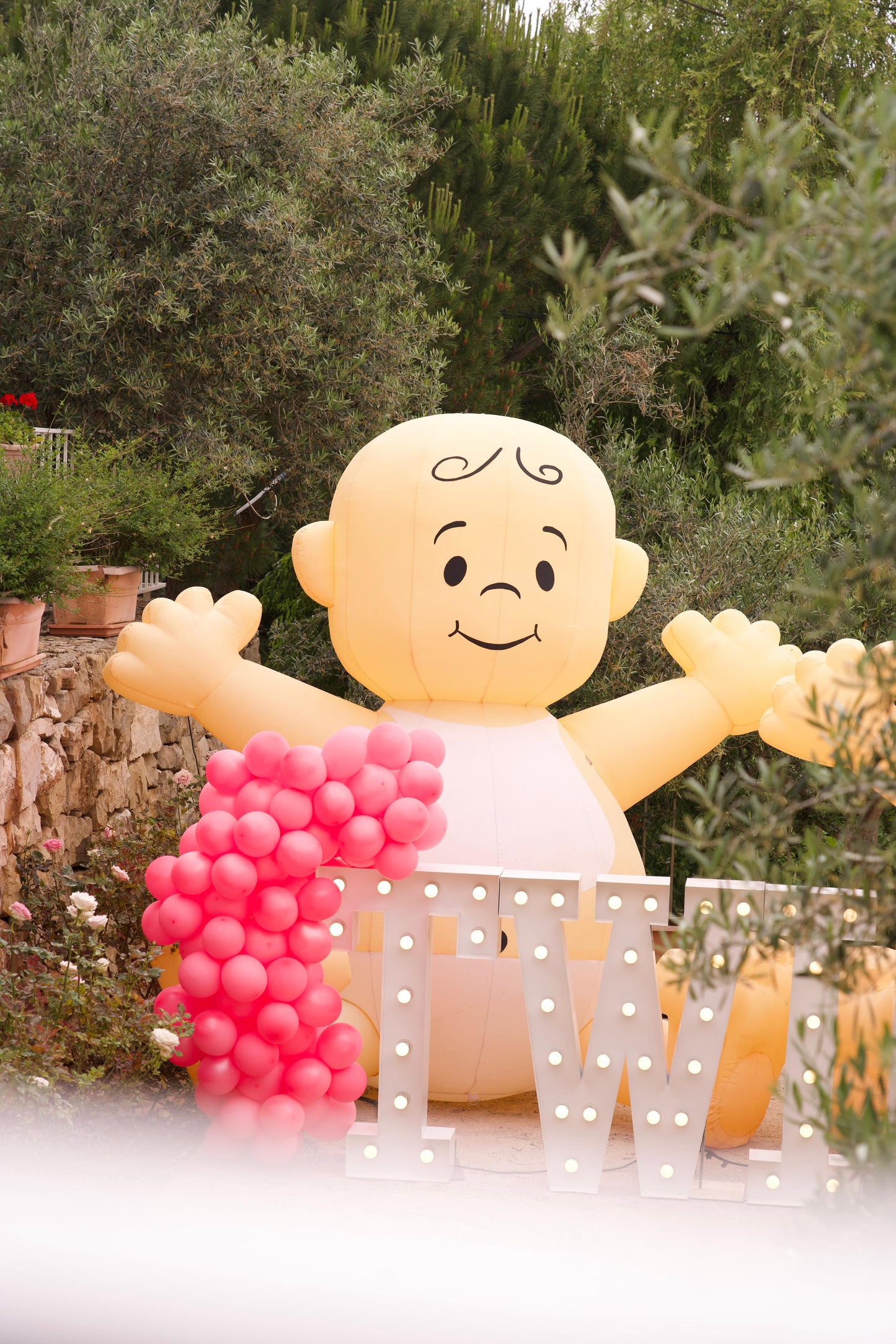 Twins - Gender Reveal Set 1