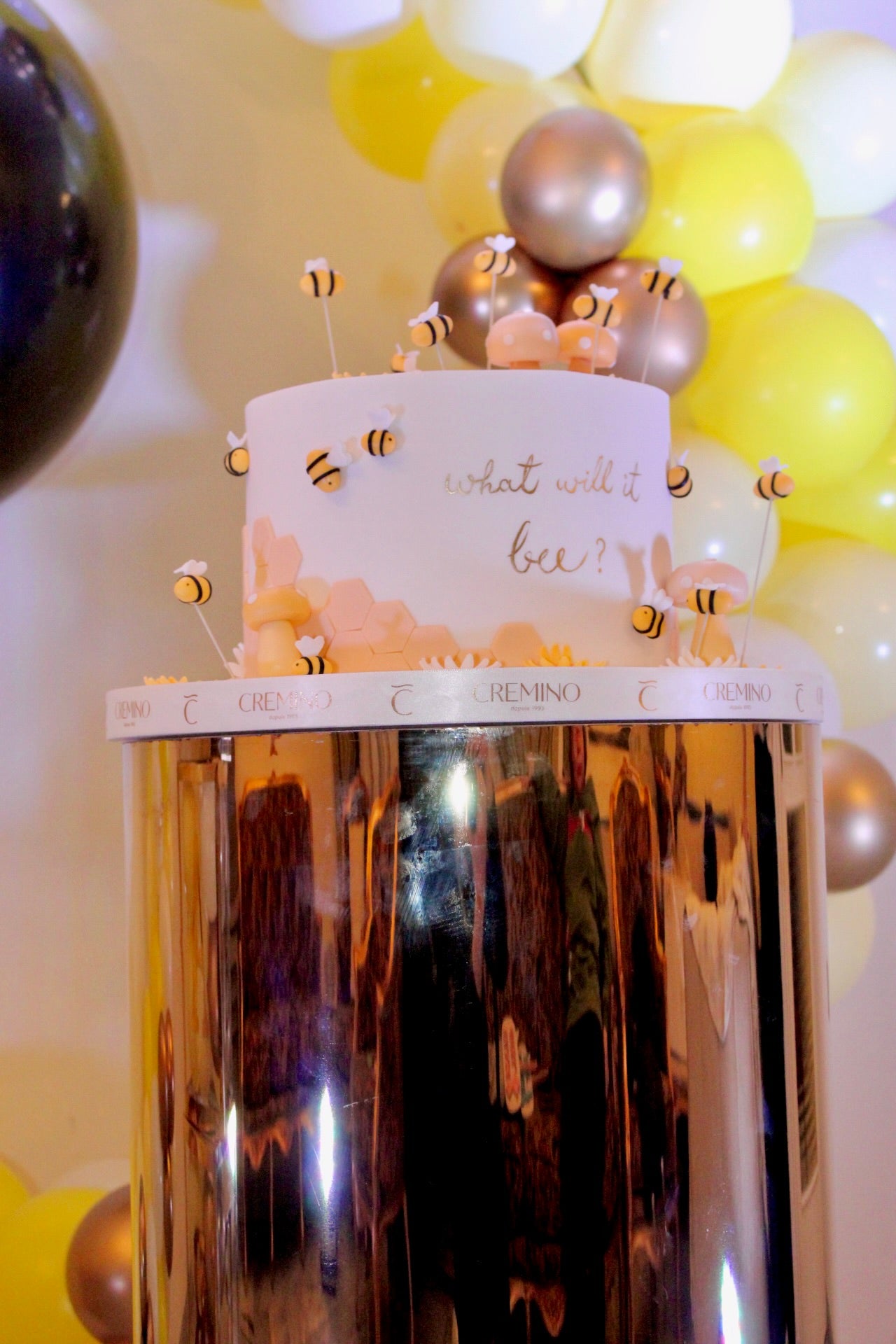 Gender Reveal Set 7