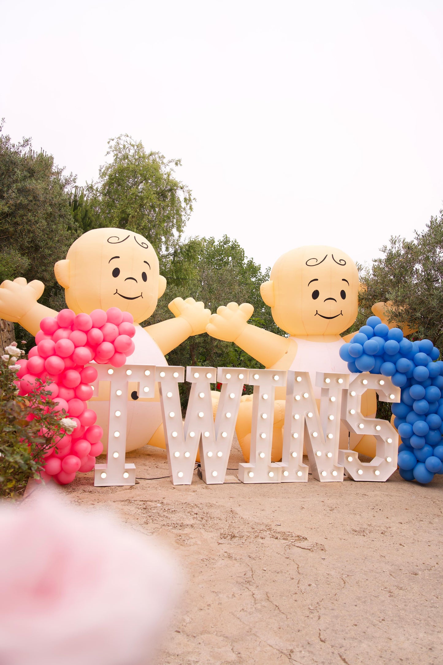 Twins - Gender Reveal Set 1