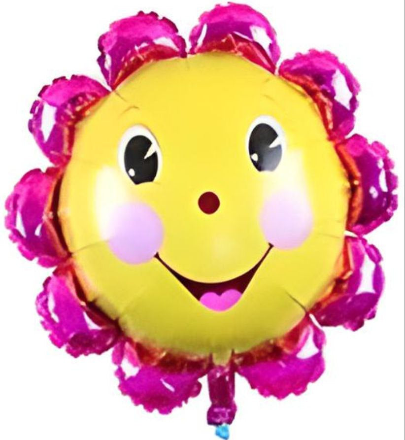 Balloons Sun Flowers big-60
