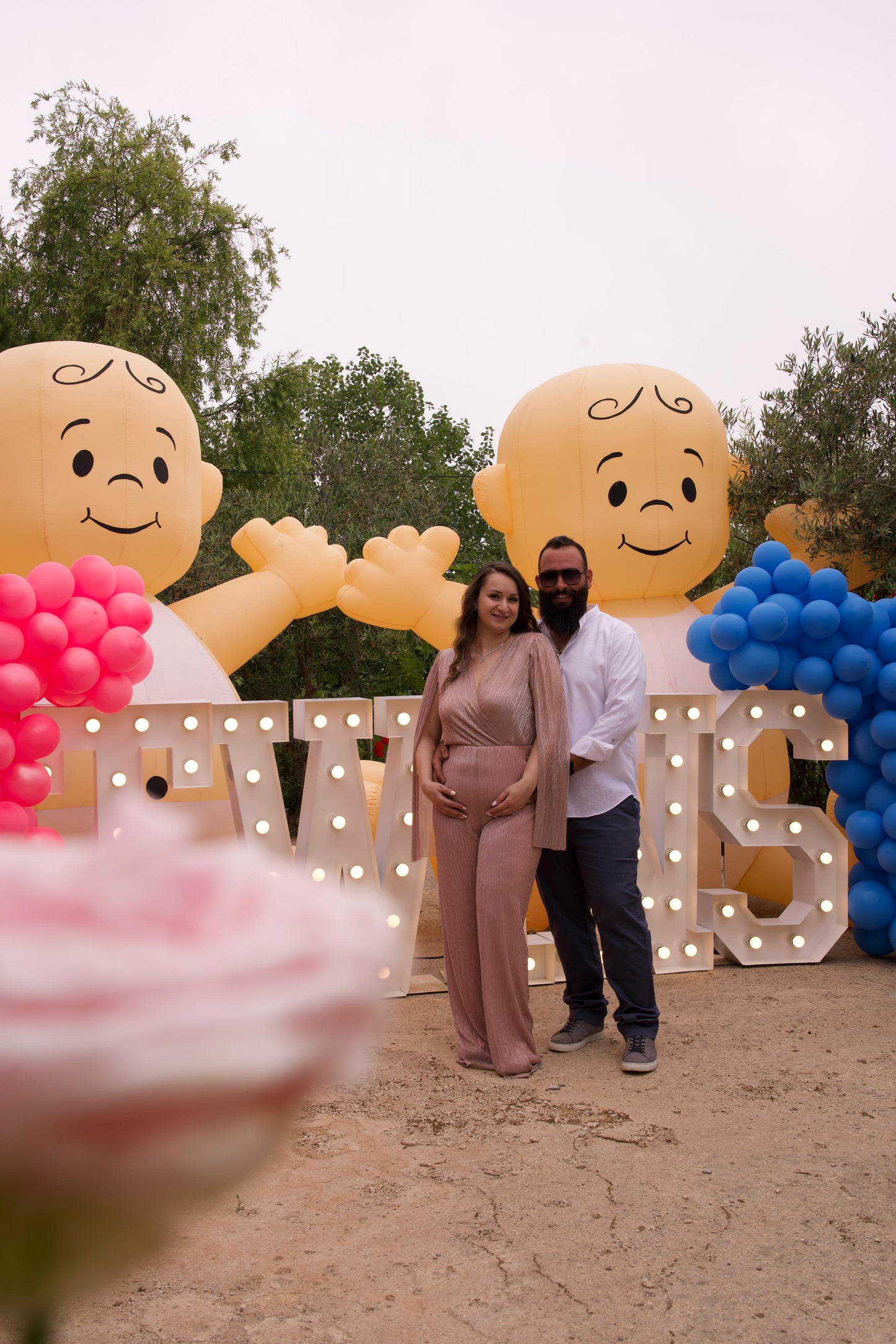 Twins - Gender Reveal Set 1