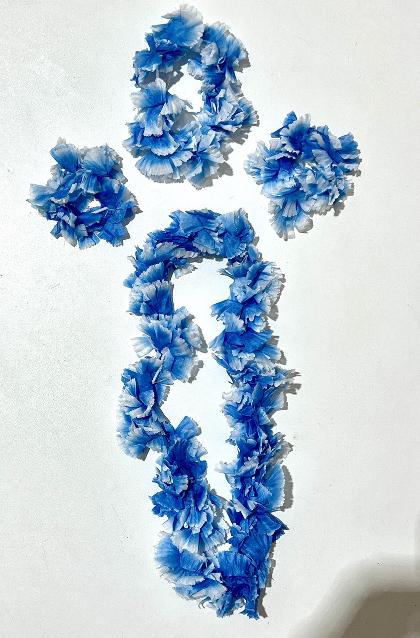 Hawaii Set Blue AH1609 -139