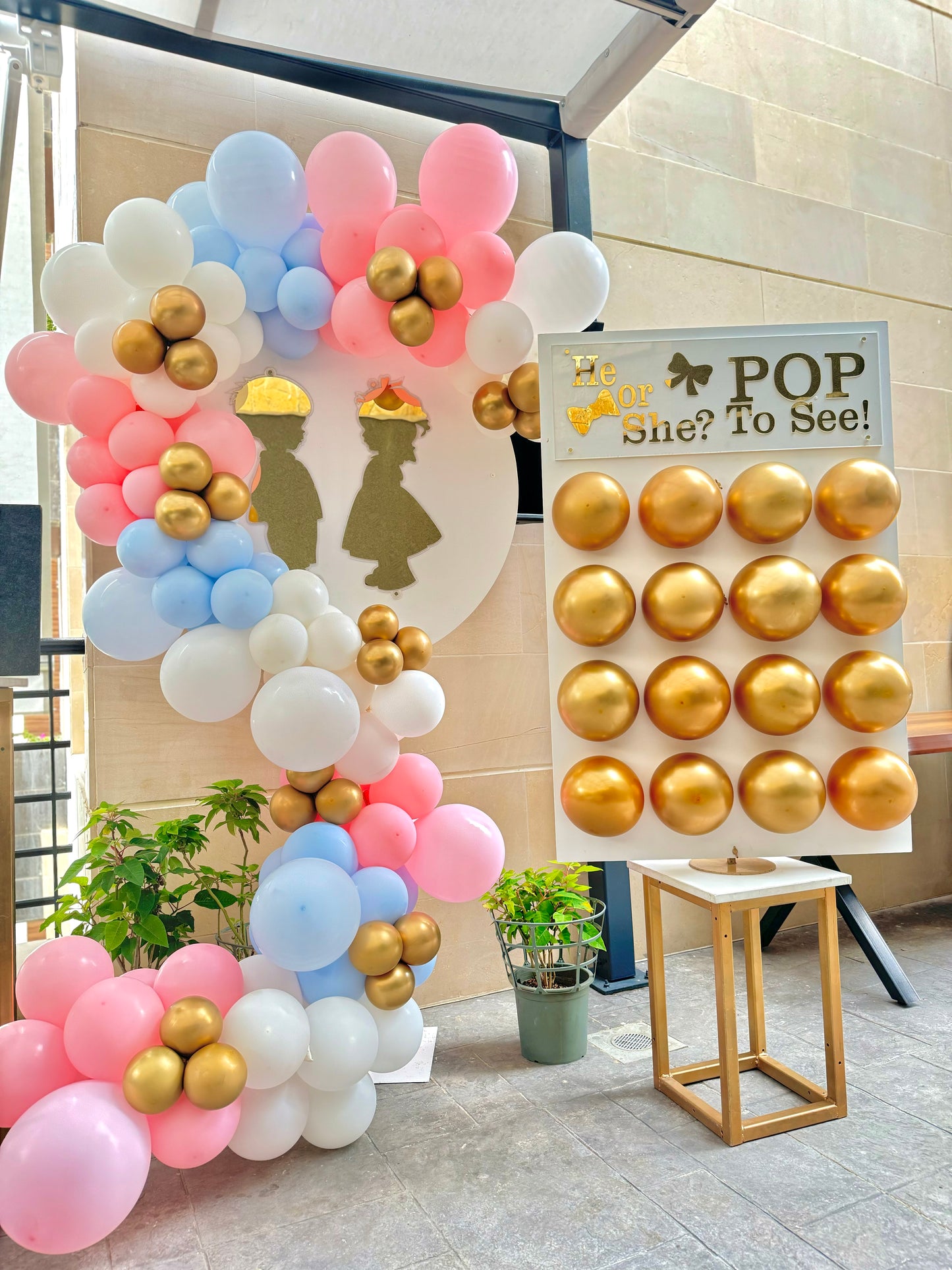 Gender Reveal Setup 101