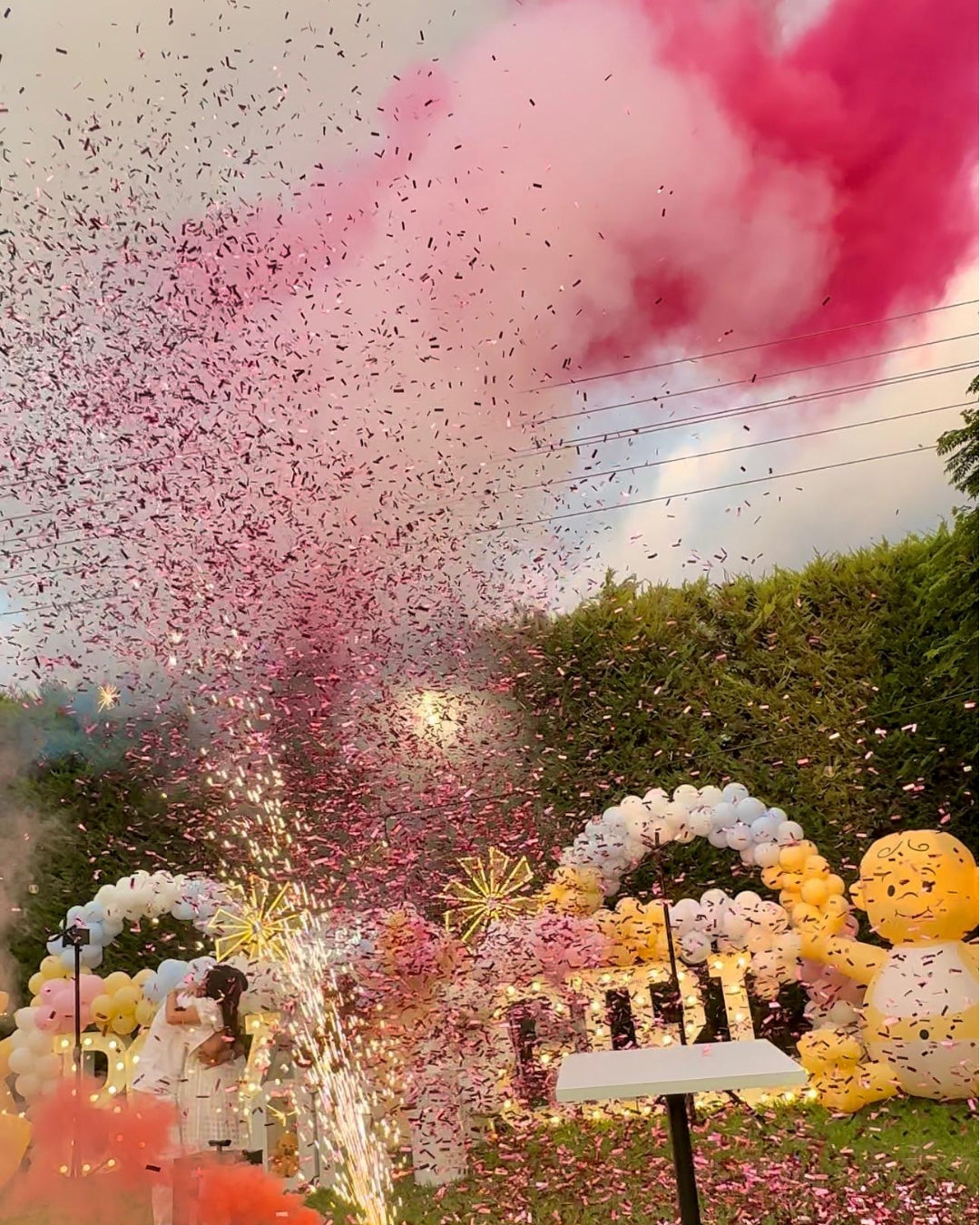 Gender Reveal Set 15