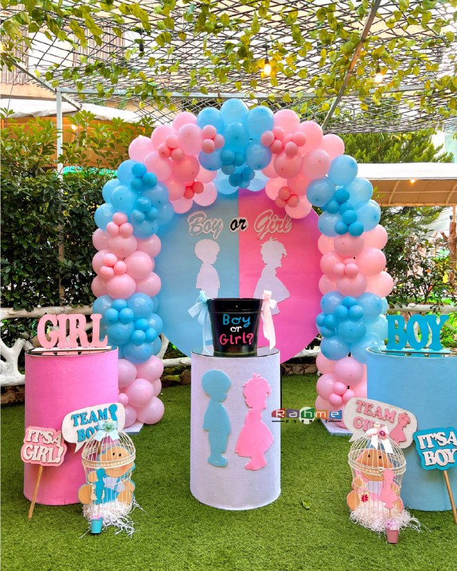 Gender Revel Decoration 37124