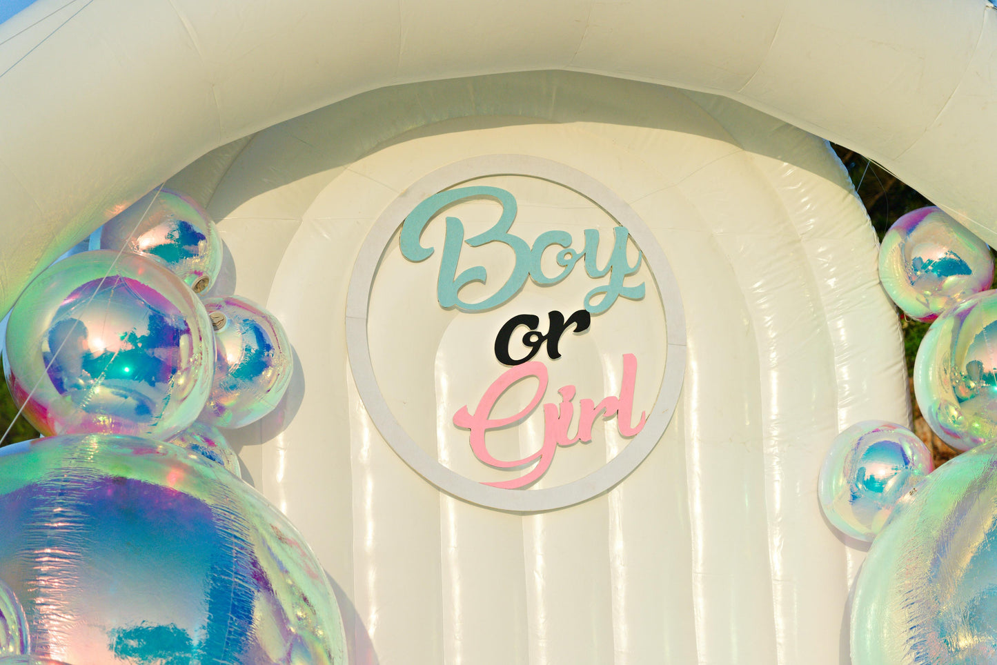 Gender Reveal Set 159