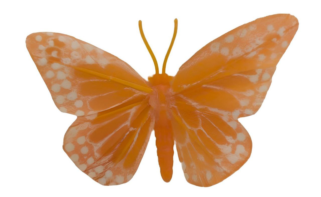 Small Orange Butterfly β116