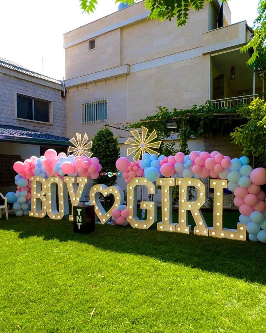 Gender Reveal Set 13