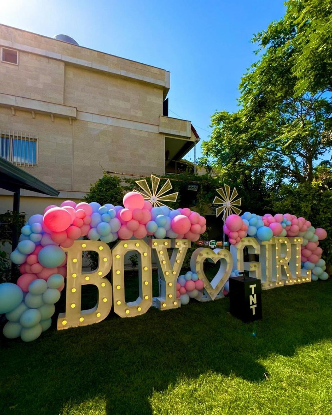 Gender Reveal Set 13