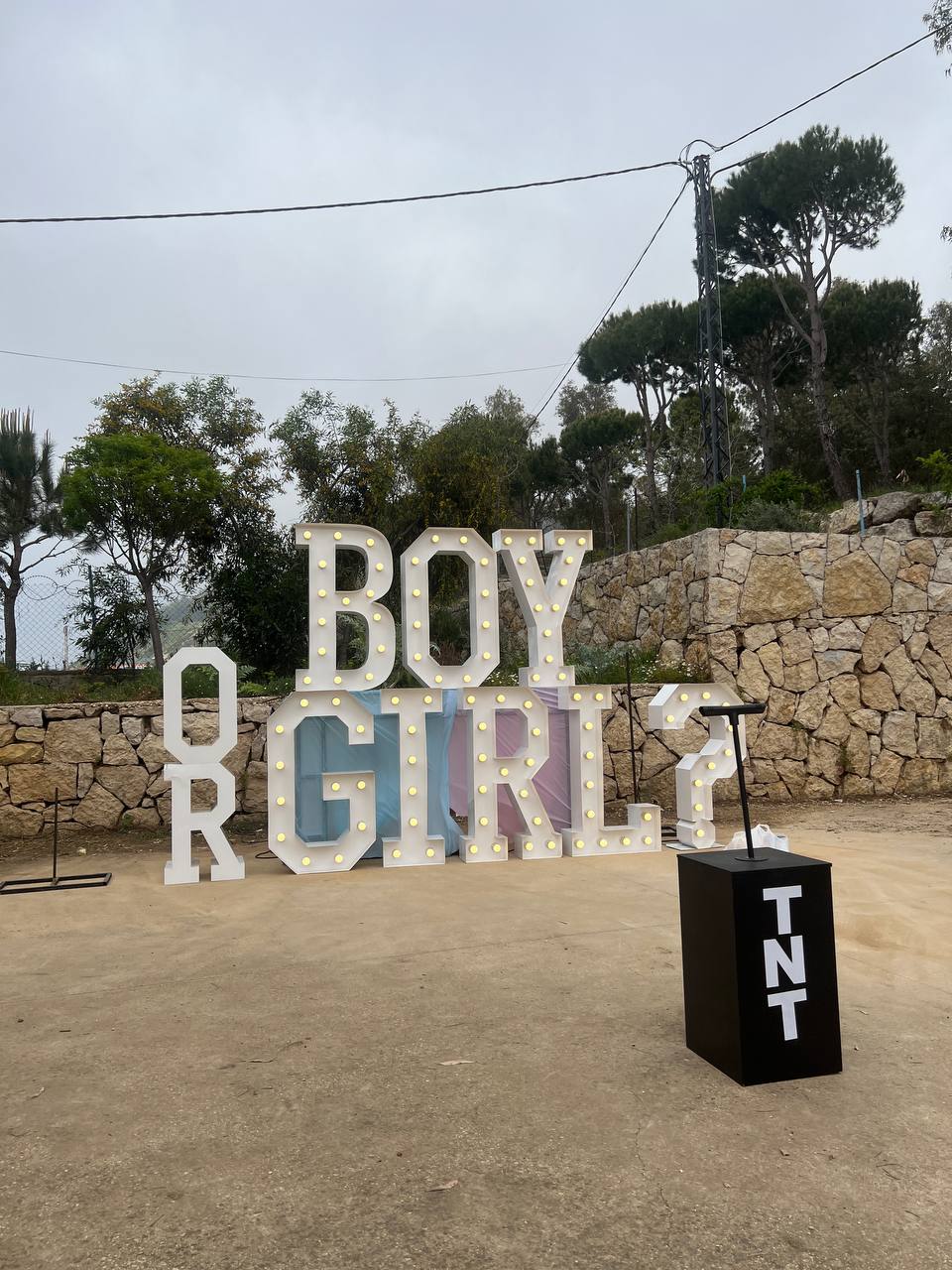 Gender Reveal Surprise-Set 4