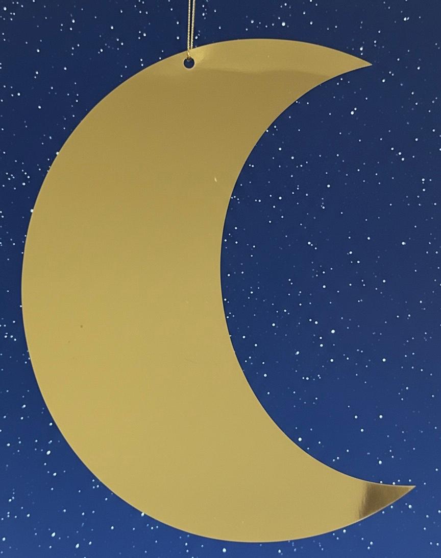 MOON CHROME 25 cm x 15 cm- R226