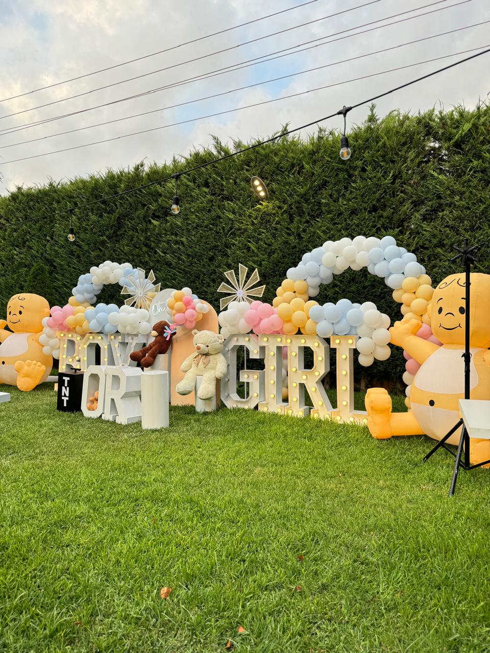 Gender Reveal Set 15
