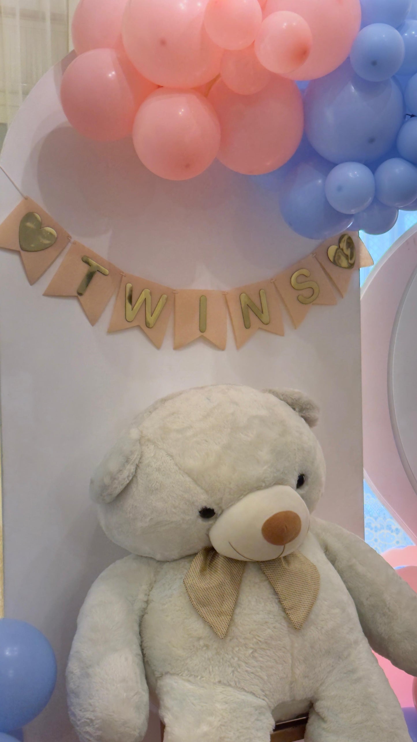Gender Reveal Set - 53
