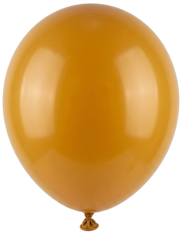R29-18” -Cocoa-10G Retro Balloons (3) مطلوب