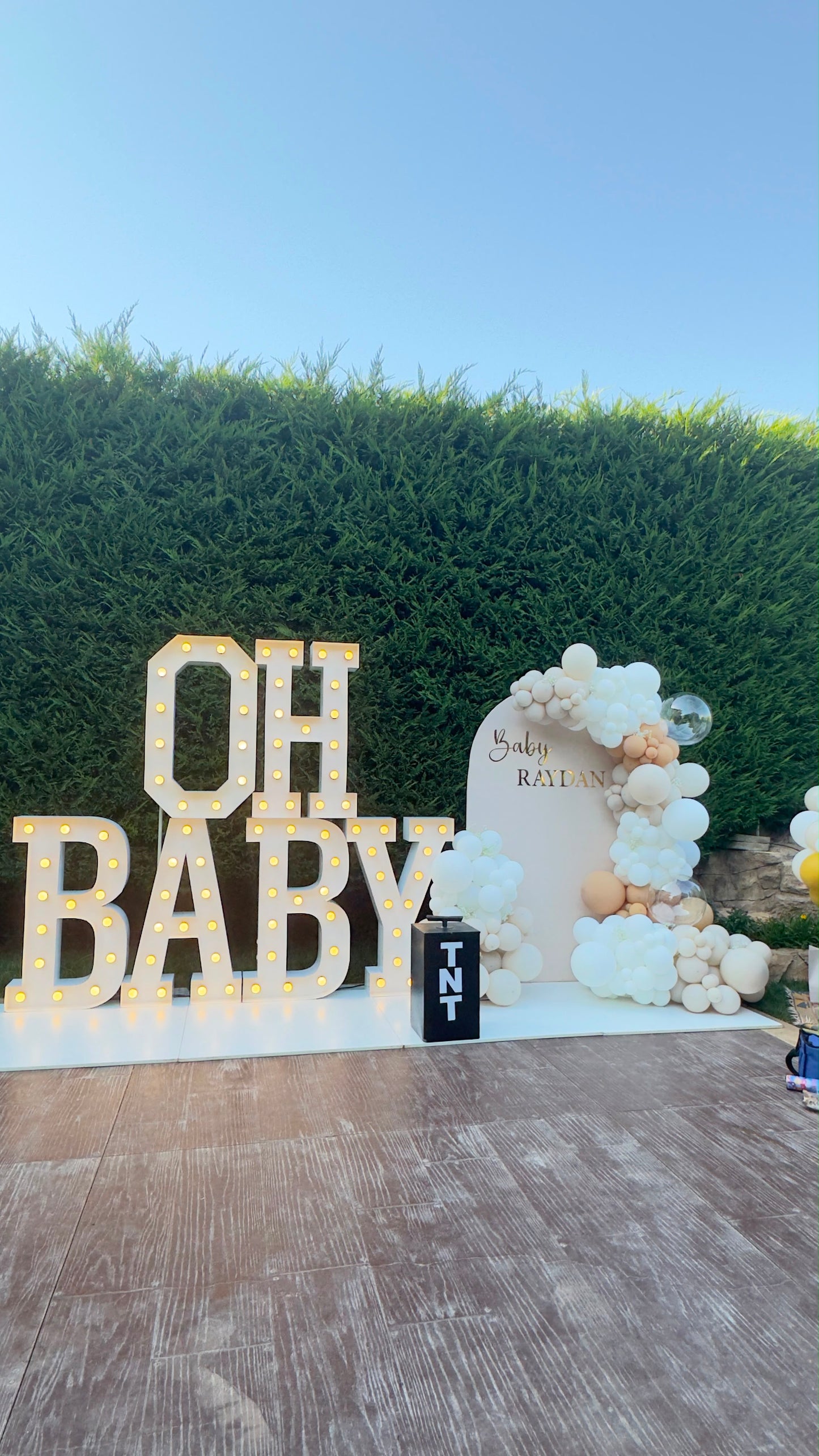 Gender Reveal Set - 56