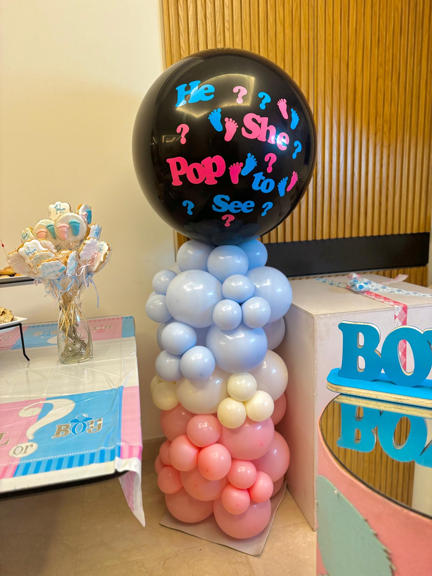 Gender Reveal Set 152