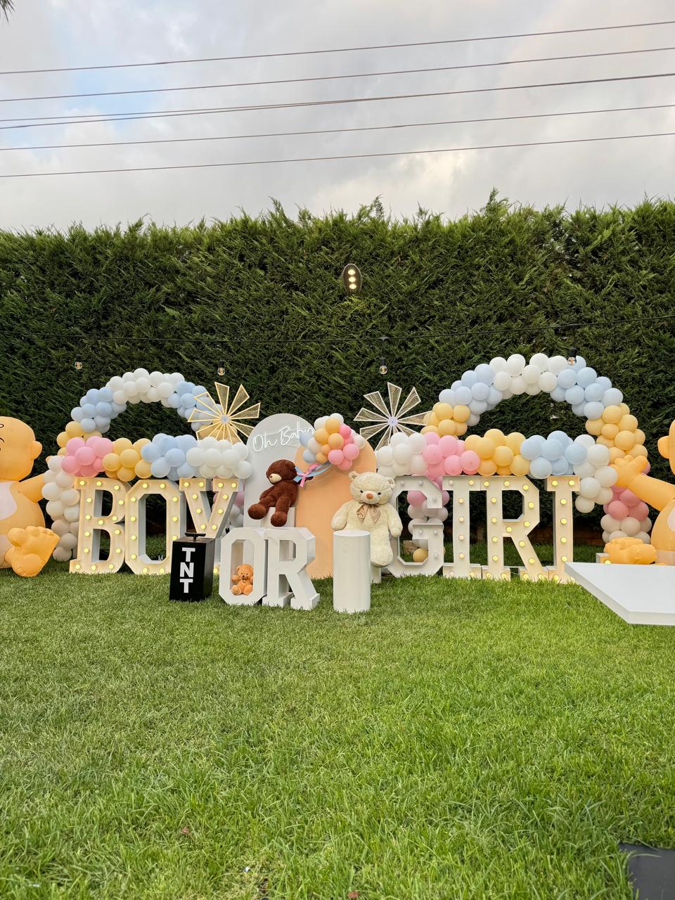 Gender Reveal Set 15