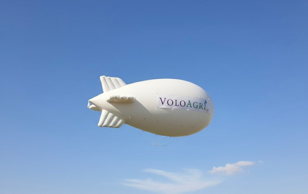 Helium Balloon 6 meter