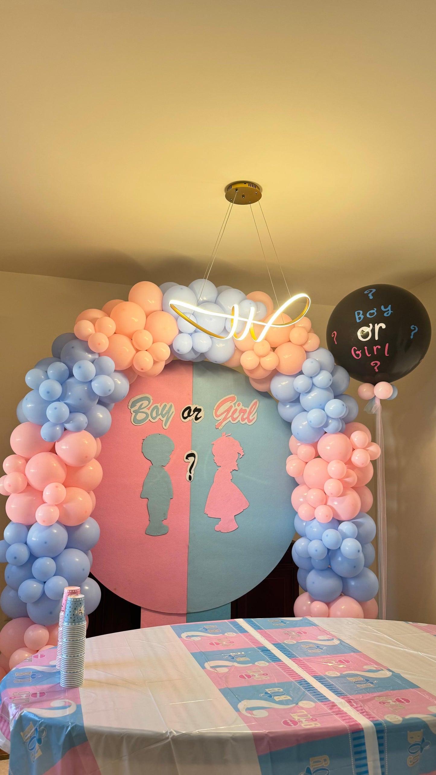 Gender Reveal Set 163
