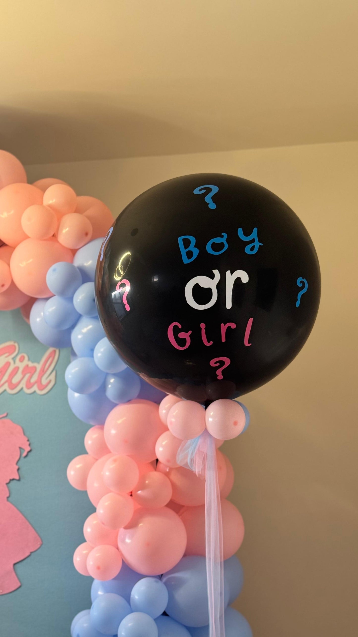 Gender Reveal Set 163