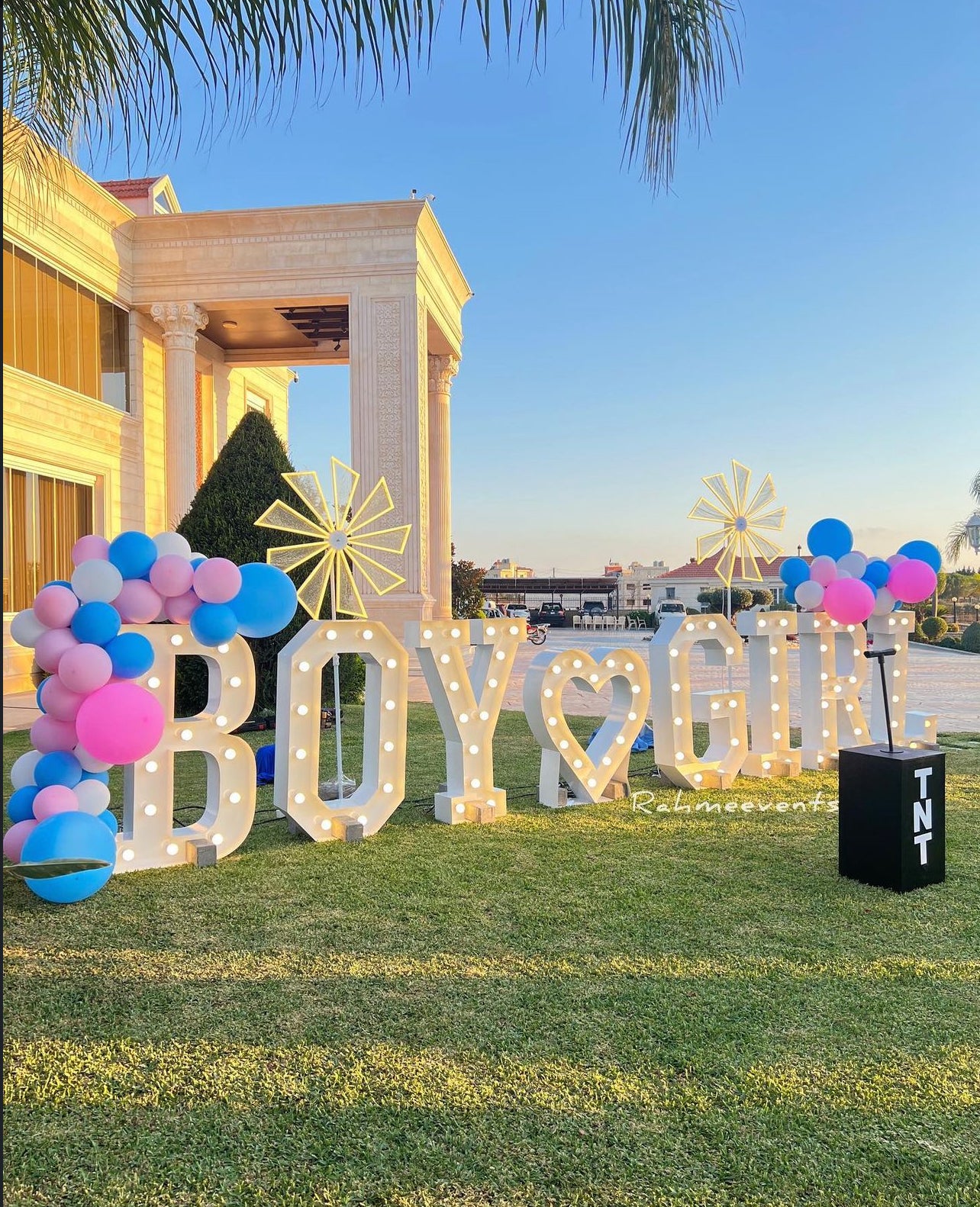 Gender Reveal Set 3