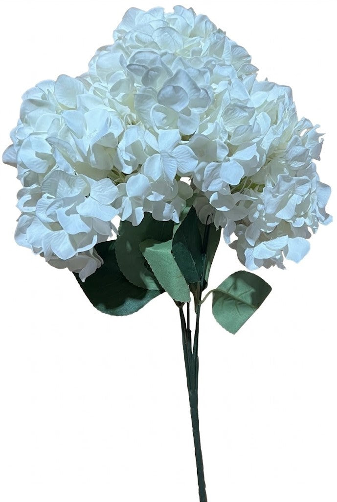 N400 White -Flowers Fan-shaped hydrangea (120)