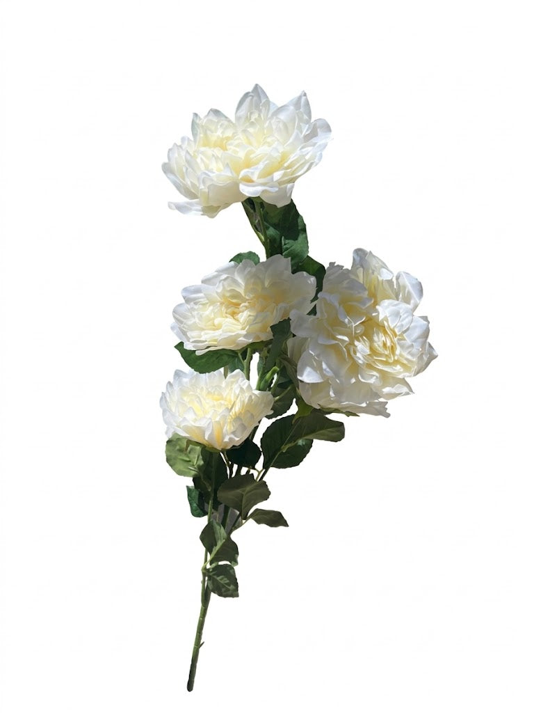 N401 White-Flowers 5 heads of chrysanthemum (50)