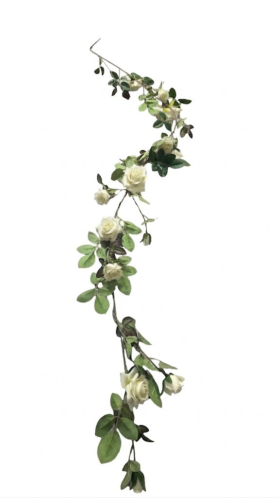 N405 White - Rose cane 172CM (100)