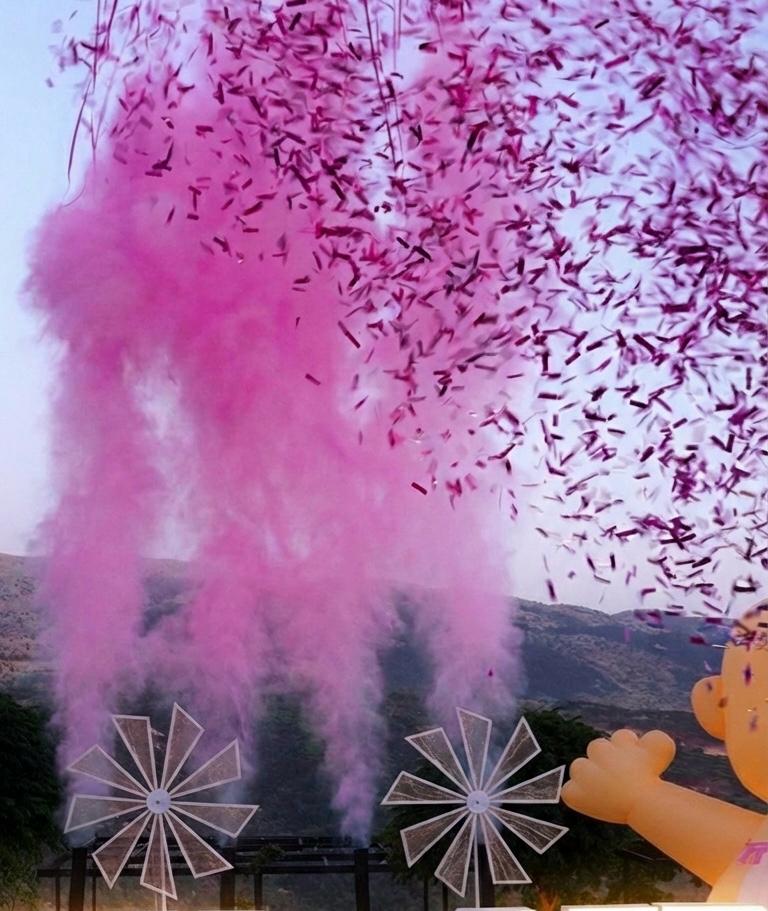 Cannon Pink Confetti