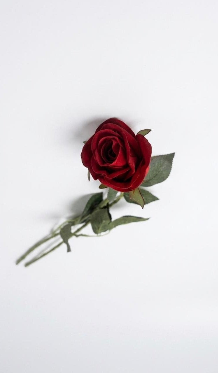 Red Flowers Single