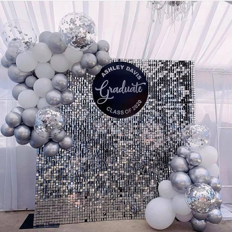 Silver Sequins Backdrop-N256S