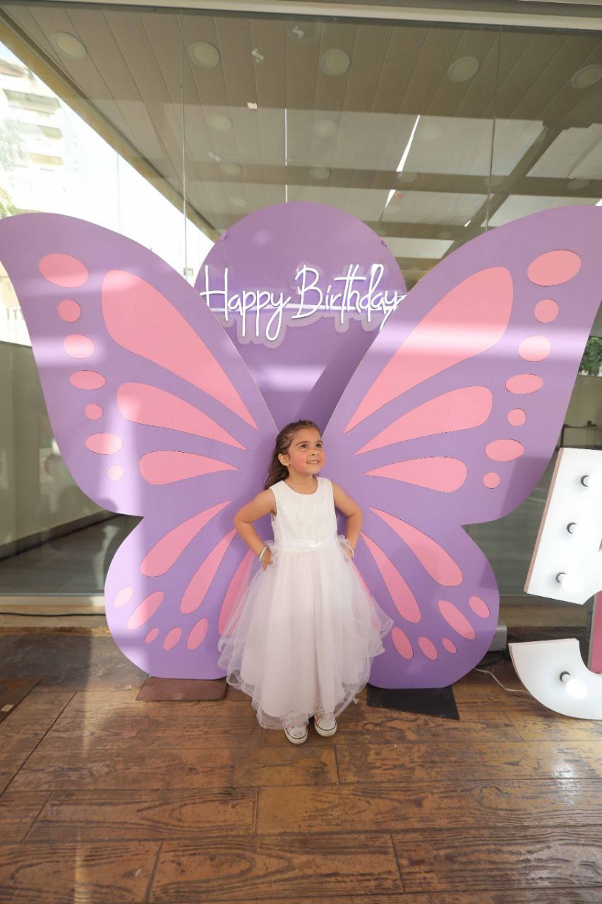 Butterfly Birthday Decorations