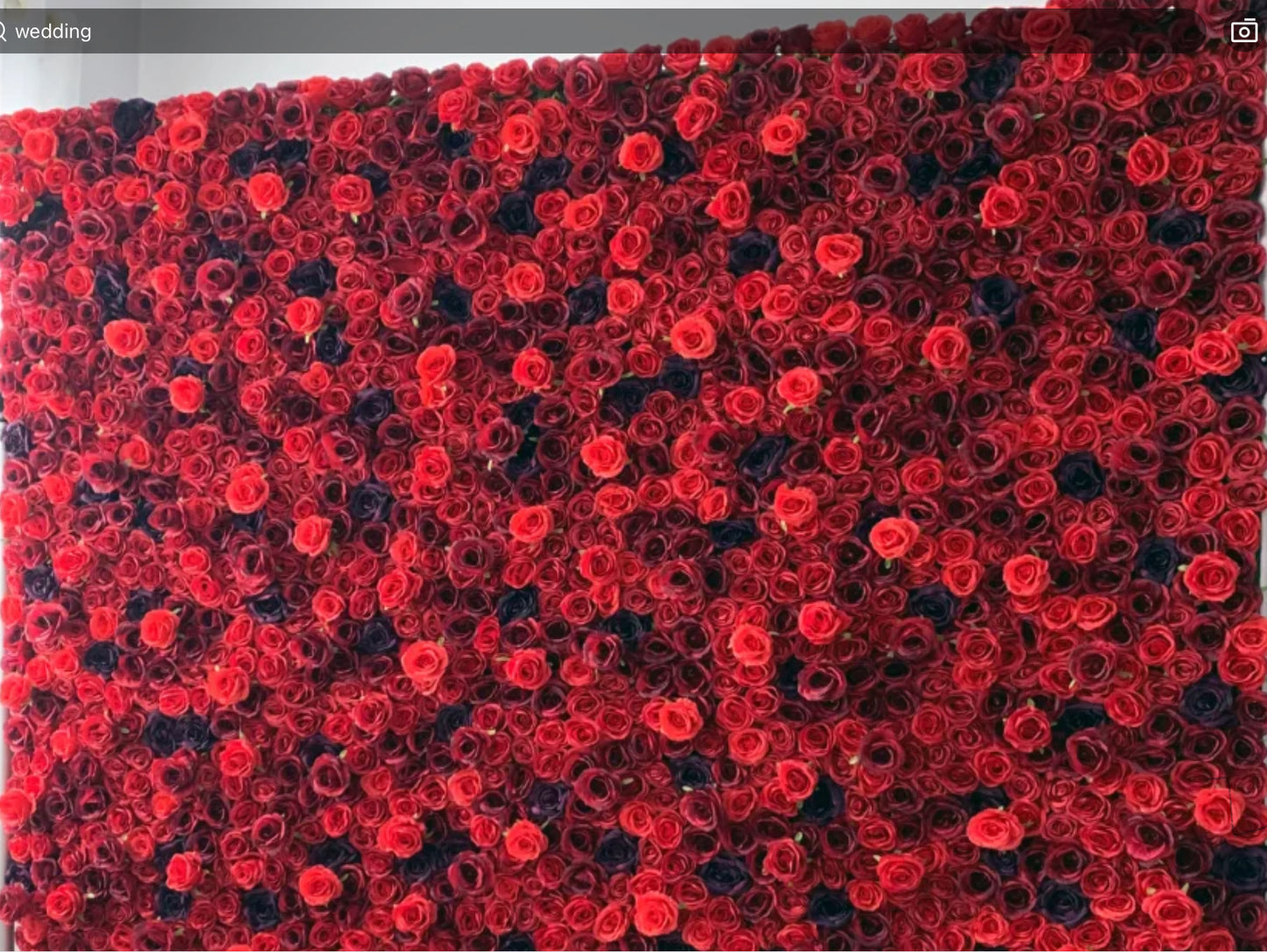 Red Flower Wall-