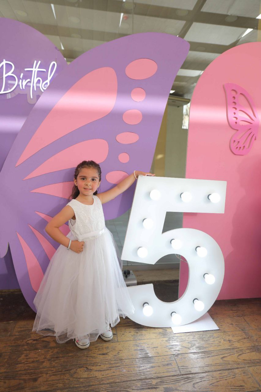 Butterfly Birthday Decorations