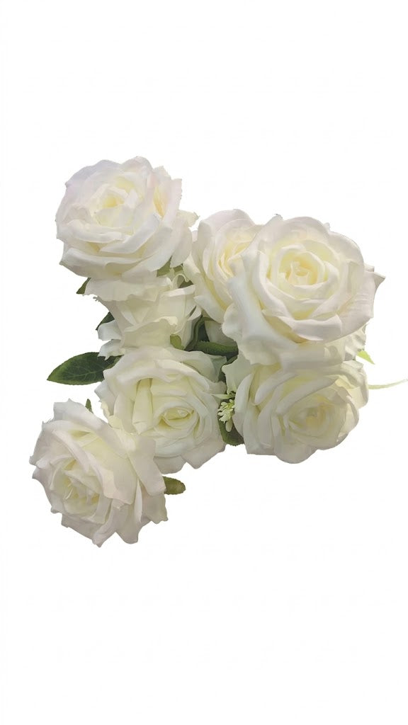 N406 White - 7 Carol Rose (100)