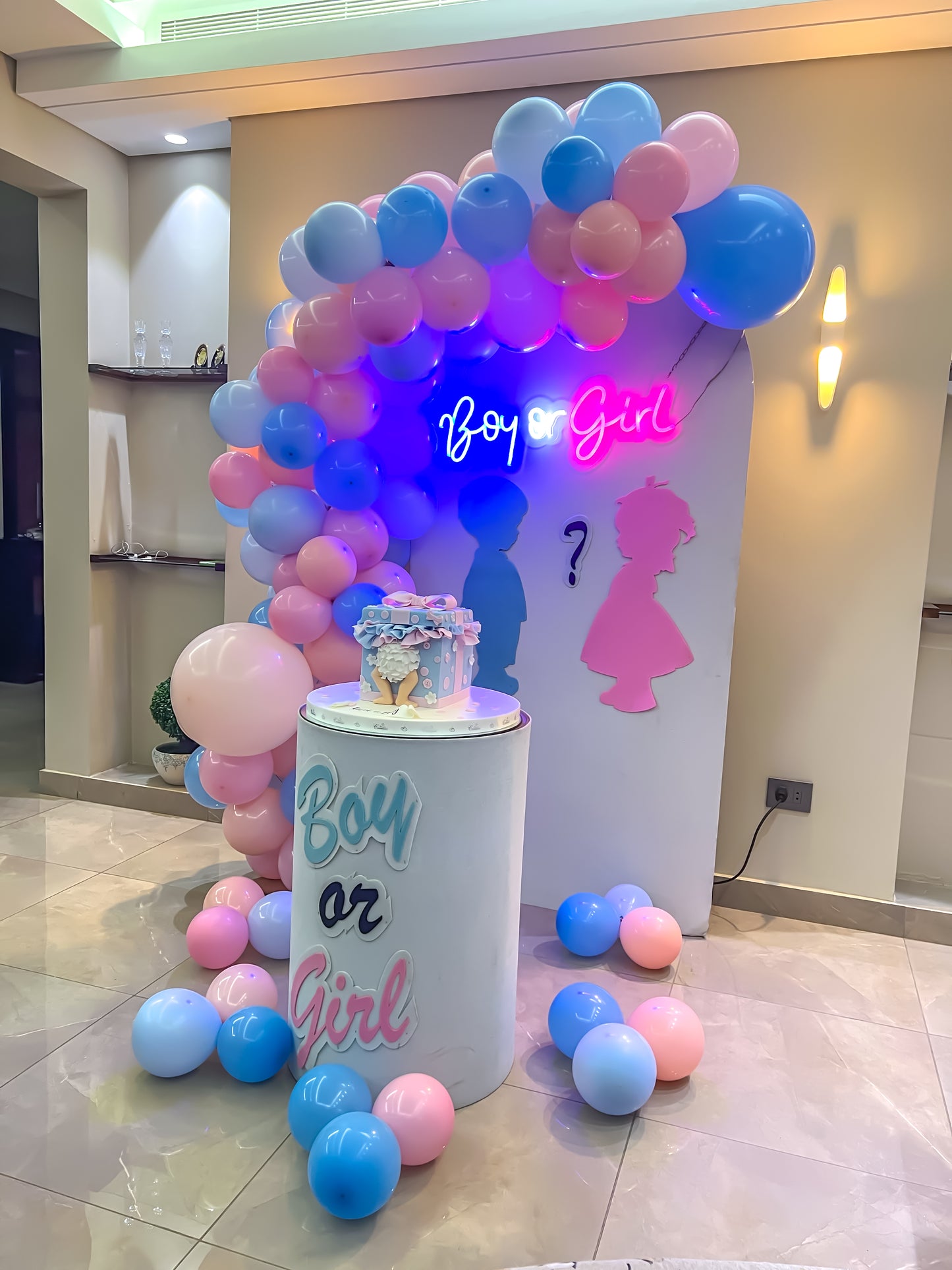 Gender Reveal Boy or Girl