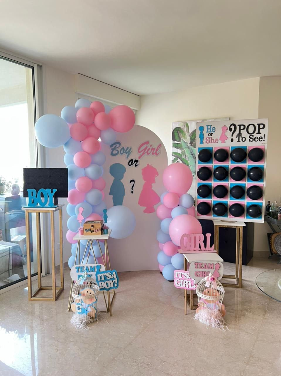 Gender Reveal Home Party Decoration