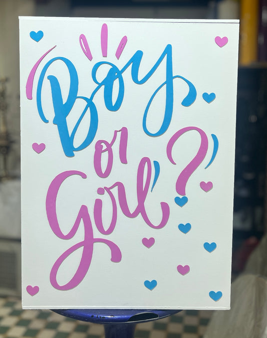 Gender Reveal Rent Box