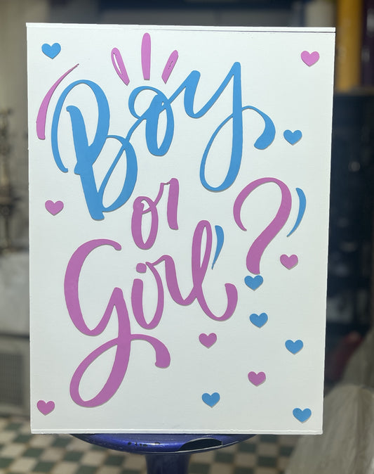 Gender Reveal -G20