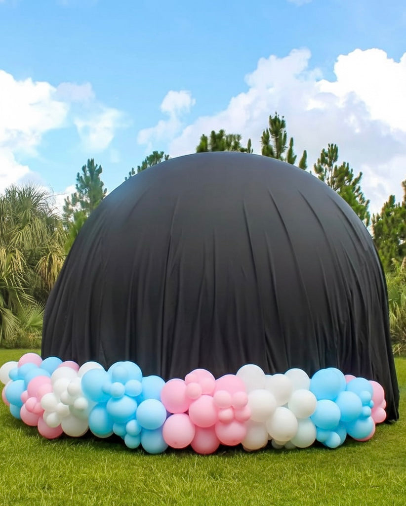 Gender Reveal Set 171