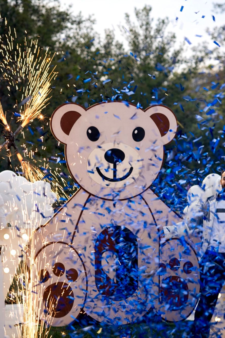 Gender Reveal Set 170