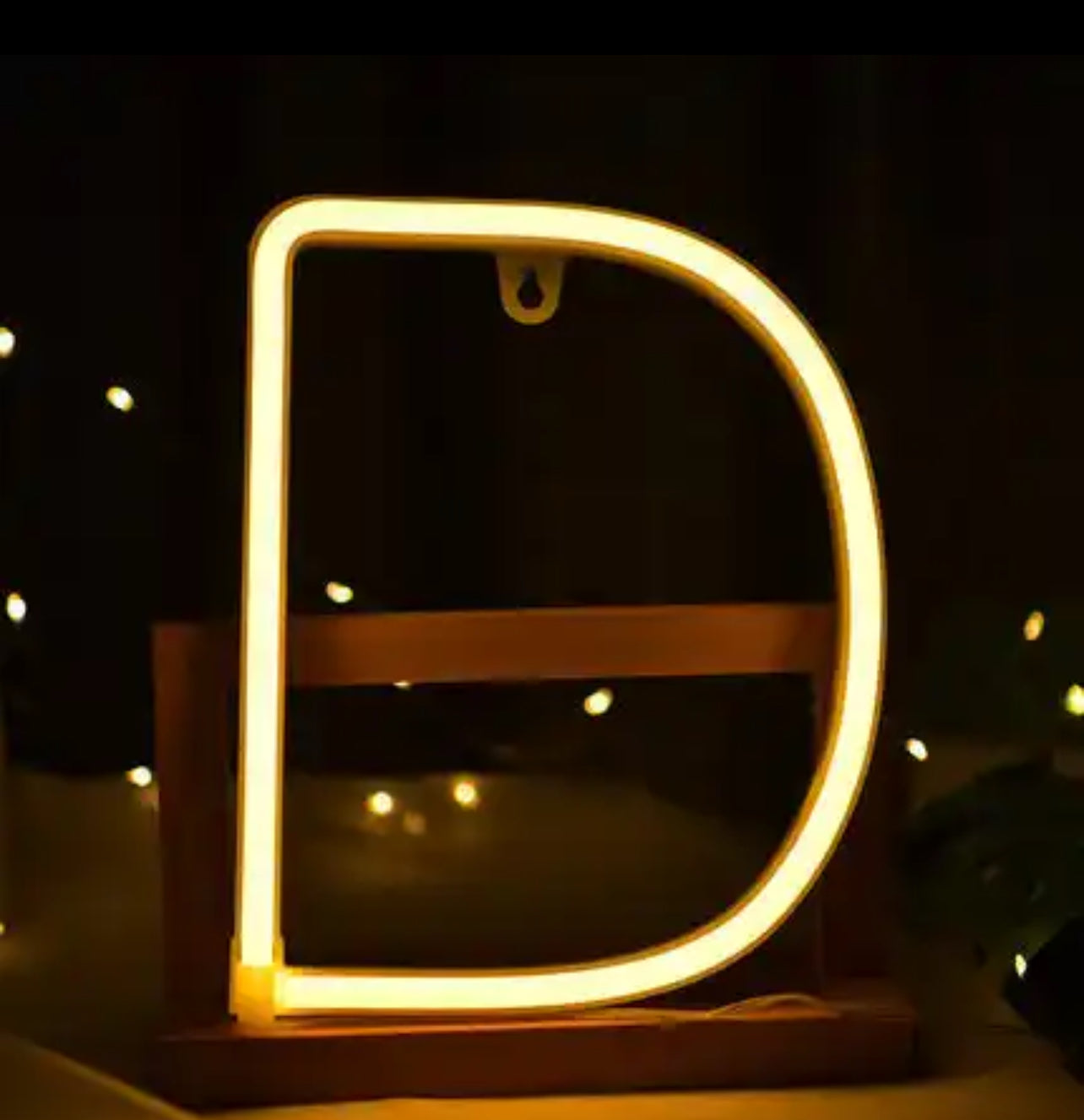 Rental Neon Letter D