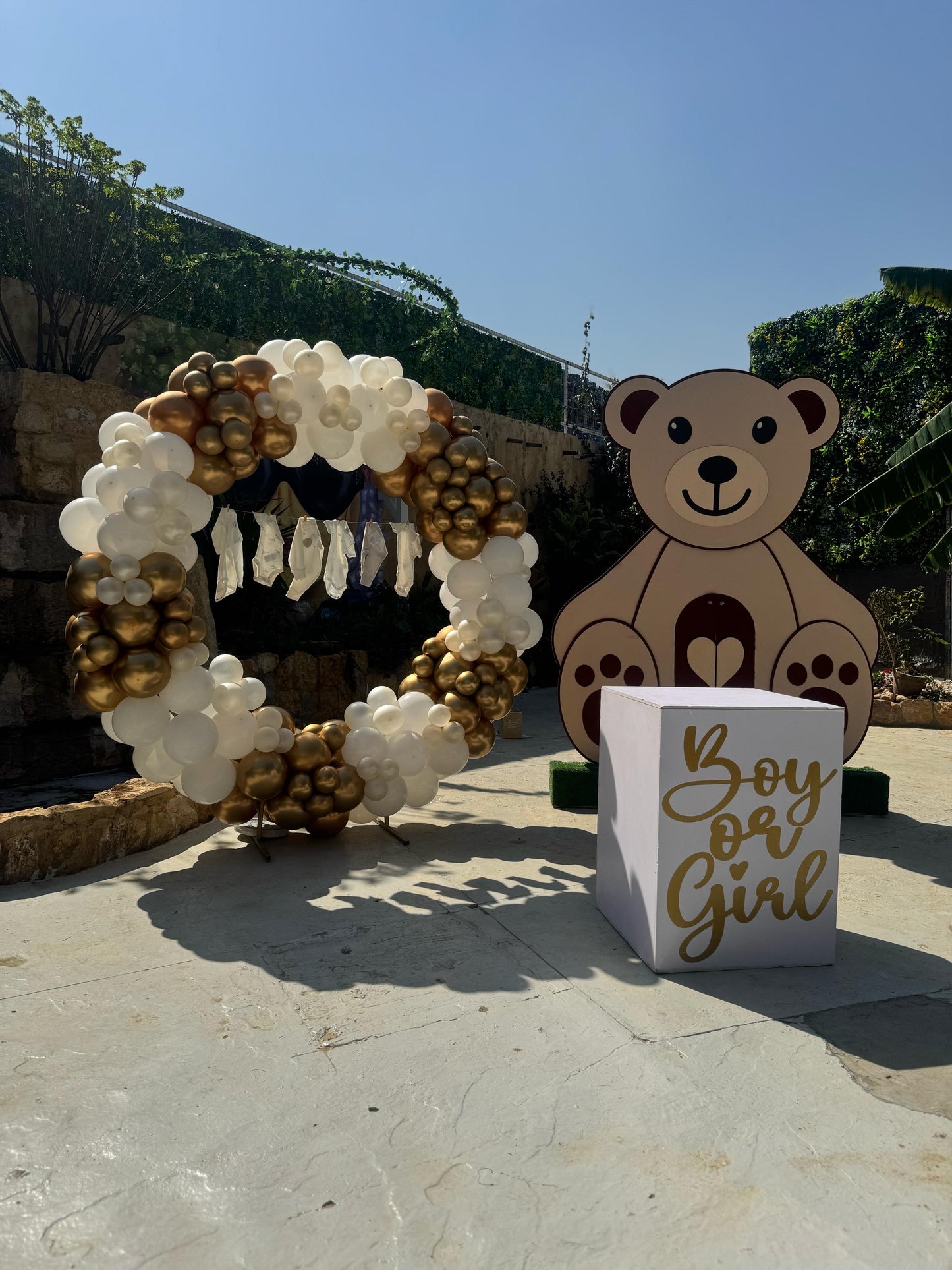 Gender Reveal Set 166