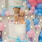Gender Reveal Set - 11