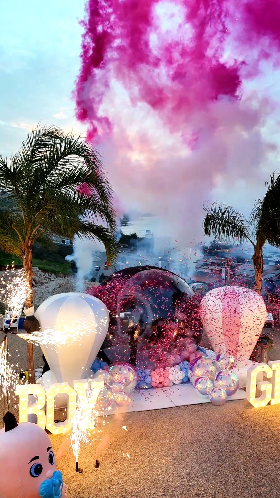 Gender Reveal Set - 29