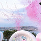Gender Reveal Set - 261