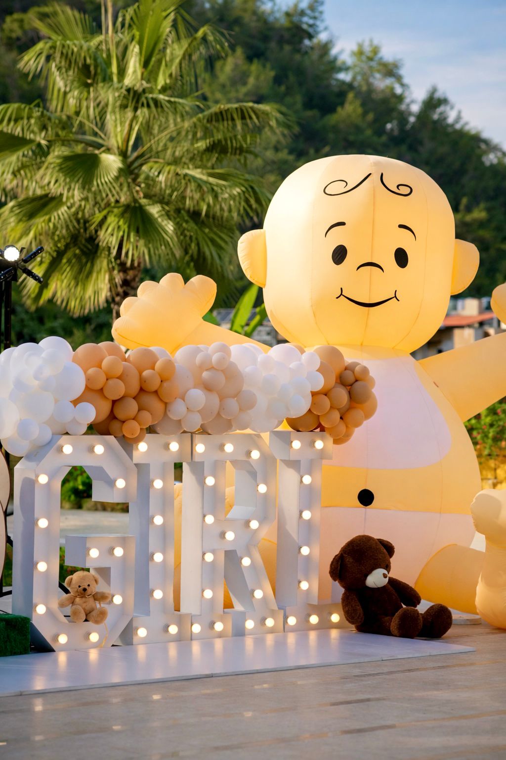 Gender Reveal Set 170