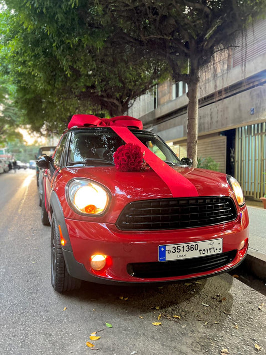 Car Decoration Gifts MINI