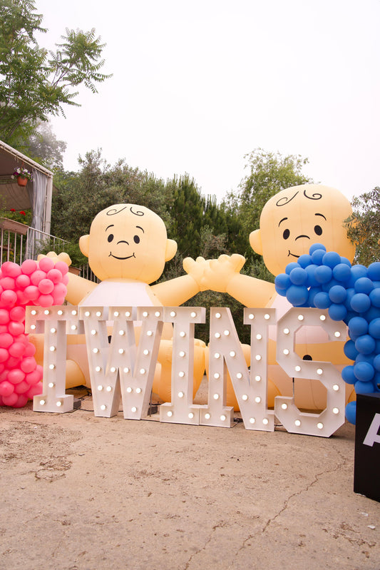 Twins - Gender Reveal Set 1