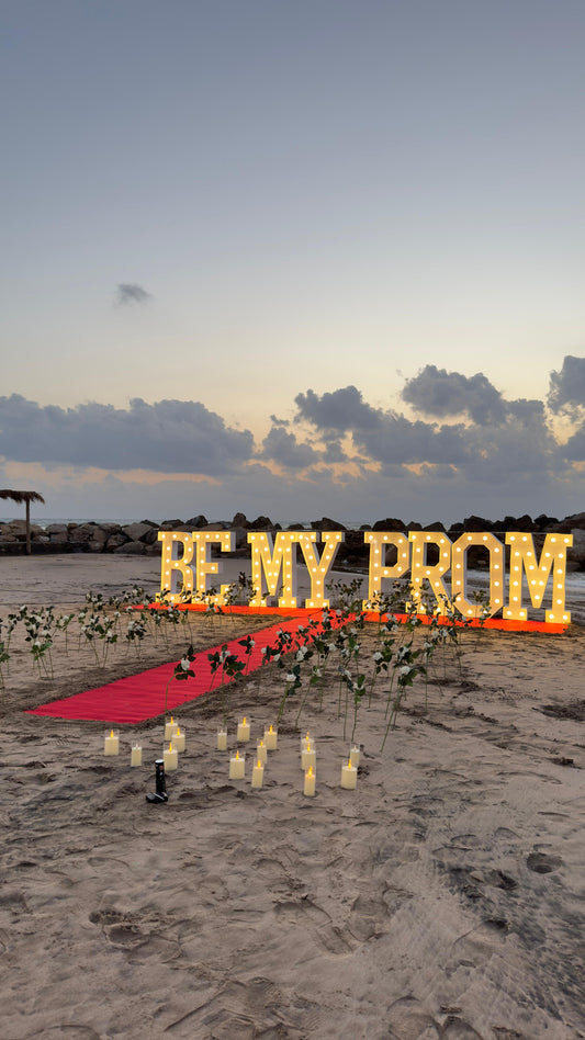 Promposal Set 16